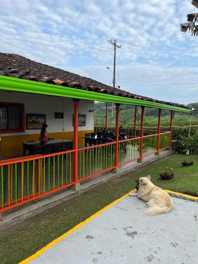 Alojamiento Campestre Hawaii Montenegro Exterior photo